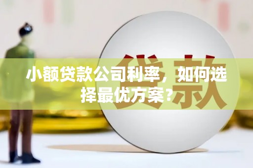 广宗小额贷款公司利率，如何选择最优方案？