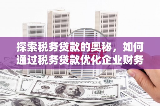 广宗探索税务贷款的奥秘，如何通过税务贷款优化企业财务