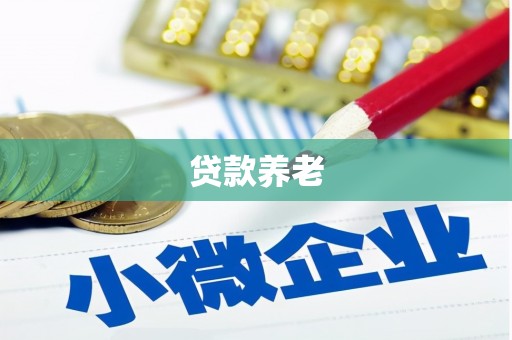 广宗贷款养老