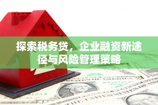 广宗探索税务贷，企业融资新途径与风险管理策略