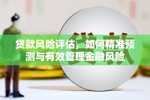 广宗贷款风险评估，如何精准预测与有效管理金融风险