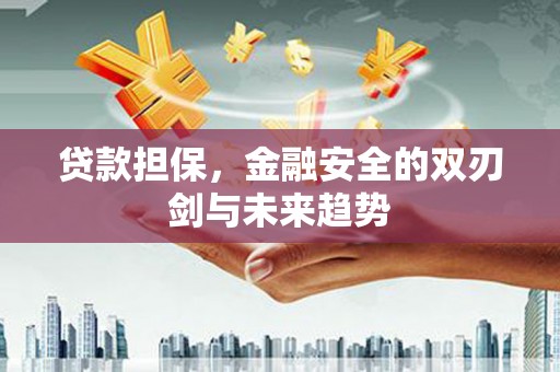 广宗贷款担保，金融安全的双刃剑与未来趋势