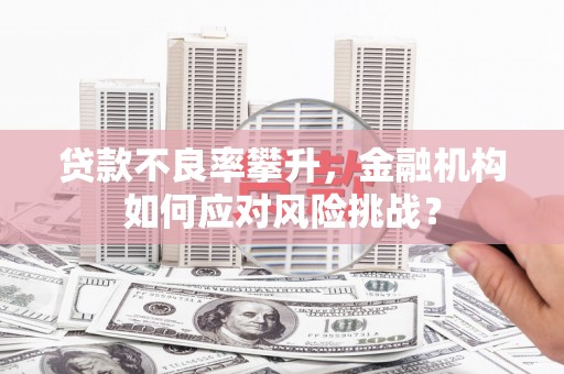 广宗贷款不良率攀升，金融机构如何应对风险挑战？