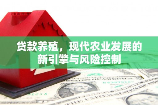 广宗贷款养殖，现代农业发展的新引擎与风险控制