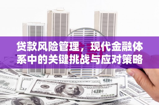 广宗贷款风险管理，现代金融体系中的关键挑战与应对策略
