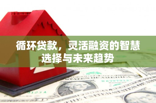 广宗循环贷款，灵活融资的智慧选择与未来趋势