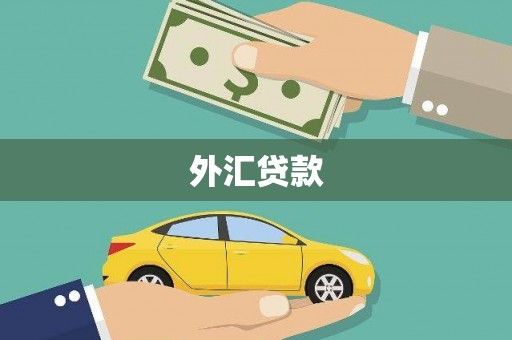 广宗外汇贷款