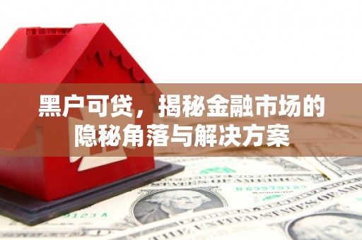 广宗黑户可贷，揭秘金融市场的隐秘角落与解决方案