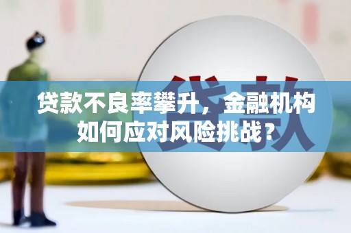 广宗贷款不良率攀升，金融机构如何应对风险挑战？