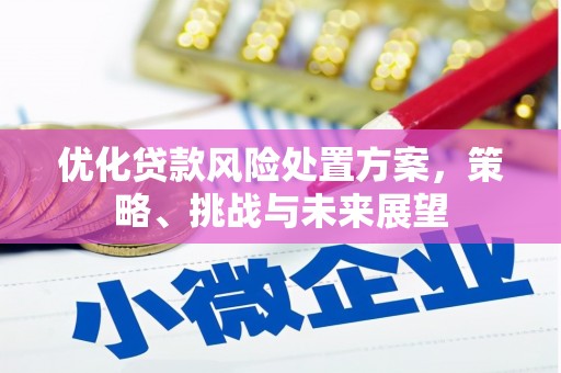广宗优化贷款风险处置方案，策略、挑战与未来展望