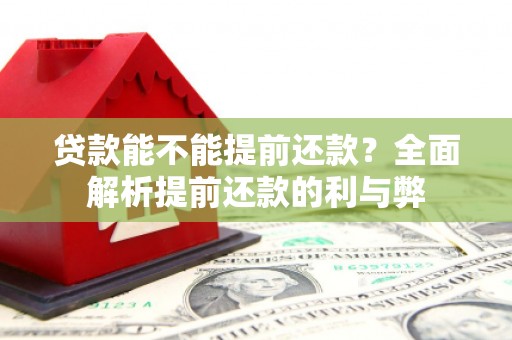 广宗贷款能不能提前还款？全面解析提前还款的利与弊