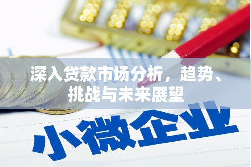 广宗深入贷款市场分析，趋势、挑战与未来展望
