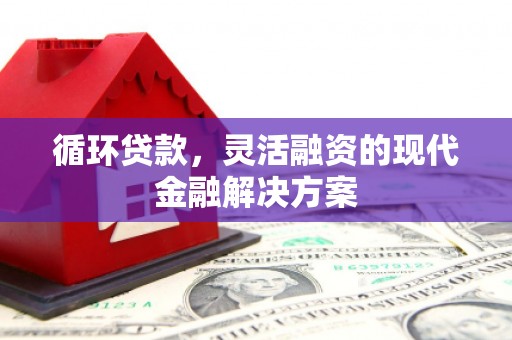 广宗循环贷款，灵活融资的现代金融解决方案