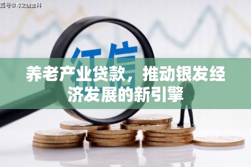 广宗养老产业贷款，推动银发经济发展的新引擎