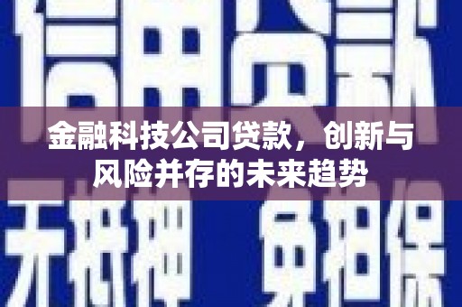 广宗金融科技公司贷款，创新与风险并存的未来趋势