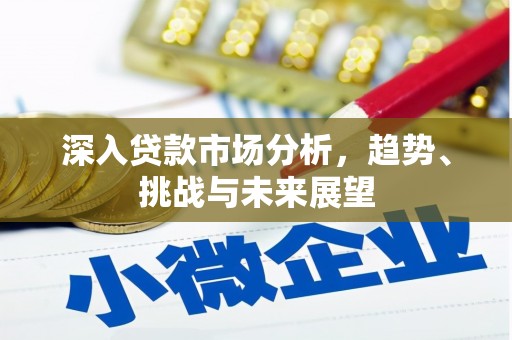 广宗深入贷款市场分析，趋势、挑战与未来展望