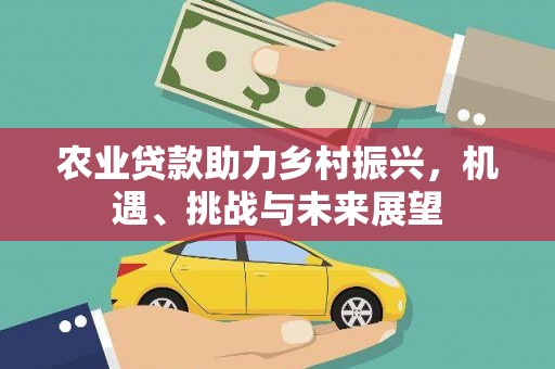 广宗农业贷款助力乡村振兴，机遇、挑战与未来展望