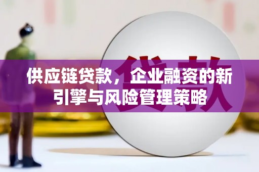广宗供应链贷款，企业融资的新引擎与风险管理策略
