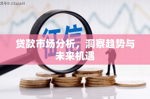 广宗贷款市场分析，洞察趋势与未来机遇