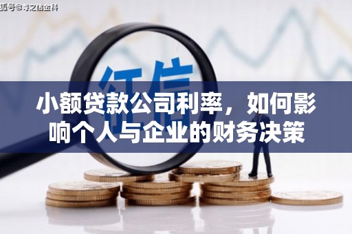 广宗小额贷款公司利率，如何影响个人与企业的财务决策