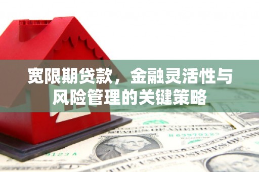 广宗宽限期贷款，金融灵活性与风险管理的关键策略
