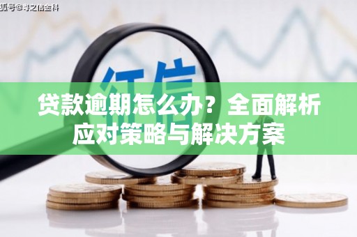 广宗贷款逾期怎么办？全面解析应对策略与解决方案