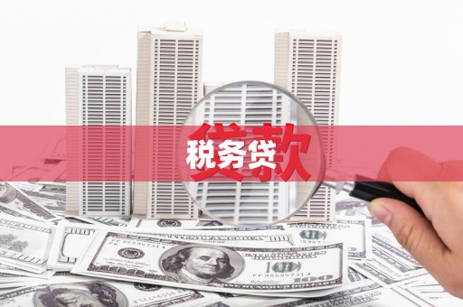 广宗税务贷