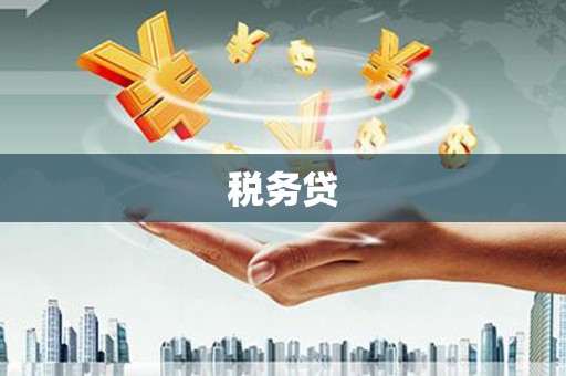 广宗税务贷
