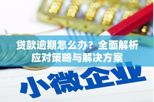 广宗贷款逾期怎么办？全面解析应对策略与解决方案