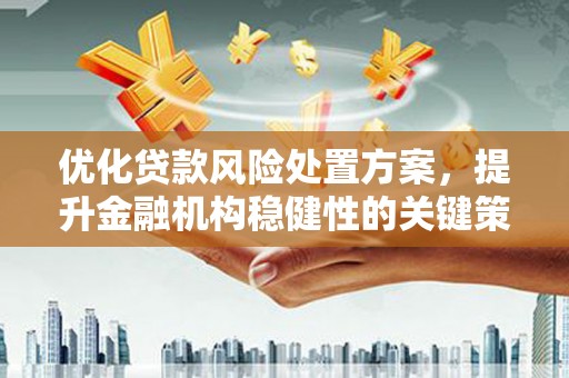 广宗优化贷款风险处置方案，提升金融机构稳健性的关键策略