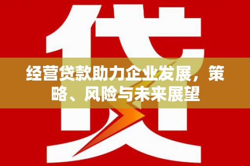 广宗经营贷款助力企业发展，策略、风险与未来展望