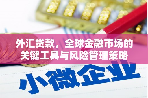 广宗外汇贷款，全球金融市场的关键工具与风险管理策略