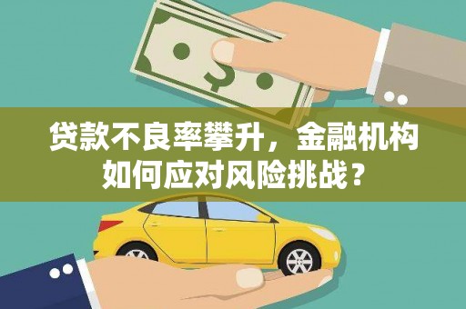 广宗贷款不良率攀升，金融机构如何应对风险挑战？
