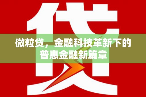 广宗微粒贷，金融科技革新下的普惠金融新篇章