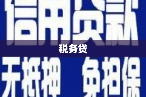 广宗税务贷