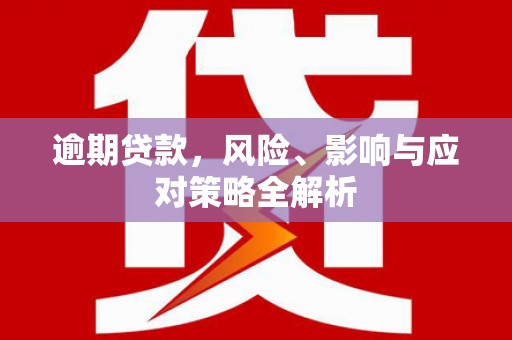 广宗逾期贷款，风险、影响与应对策略全解析