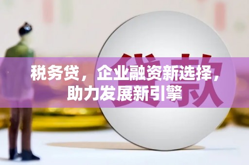 广宗税务贷，企业融资新选择，助力发展新引擎