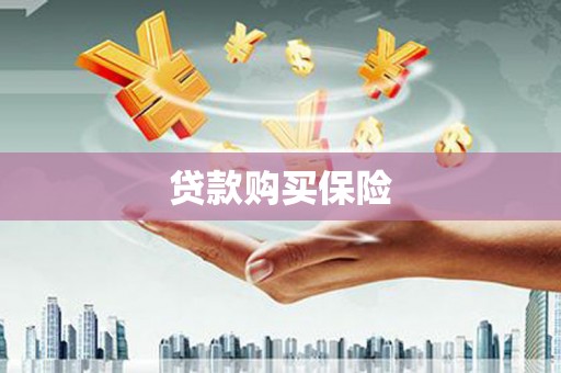 广宗贷款购买保险