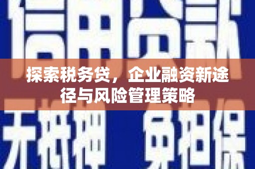 广宗探索税务贷，企业融资新途径与风险管理策略