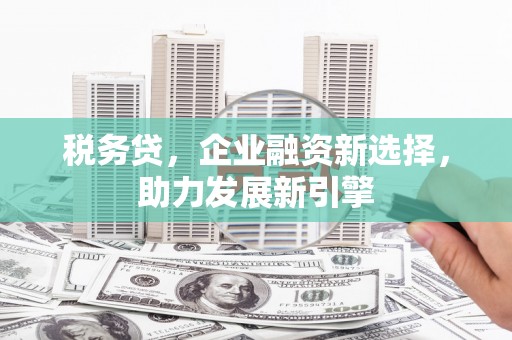 广宗税务贷，企业融资新选择，助力发展新引擎