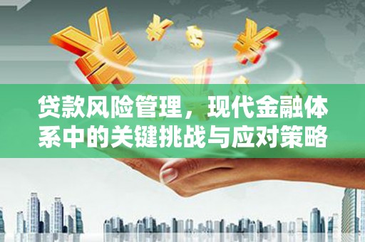 广宗贷款风险管理，现代金融体系中的关键挑战与应对策略