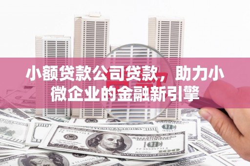 广宗小额贷款公司贷款，助力小微企业的金融新引擎