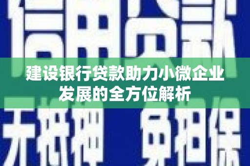 广宗建设银行贷款助力小微企业发展的全方位解析