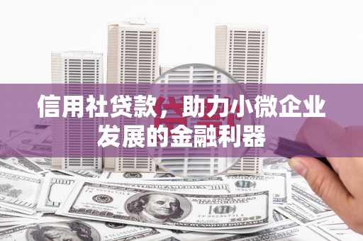 广宗信用社贷款，助力小微企业发展的金融利器