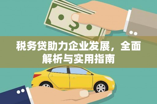 广宗税务贷助力企业发展，全面解析与实用指南