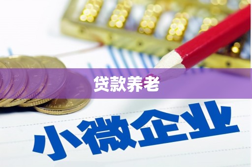 广宗贷款养老