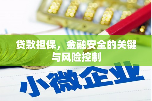 广宗贷款担保，金融安全的关键与风险控制