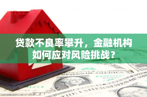 广宗贷款不良率攀升，金融机构如何应对风险挑战？