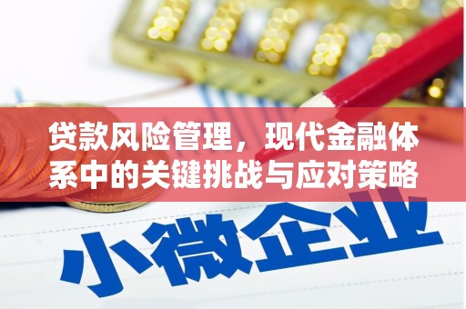 广宗贷款风险管理，现代金融体系中的关键挑战与应对策略