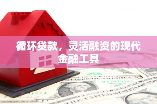 广宗循环贷款，灵活融资的现代金融工具